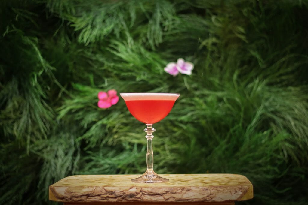 Cocktail pink lady Photo | Emily Adreeva 